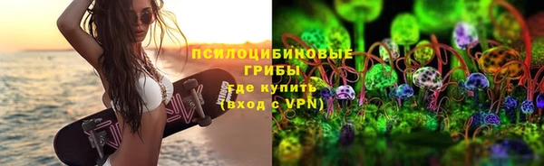 apvp Алексин