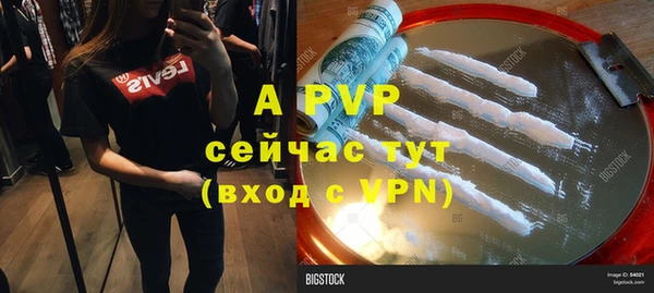 apvp Алексин