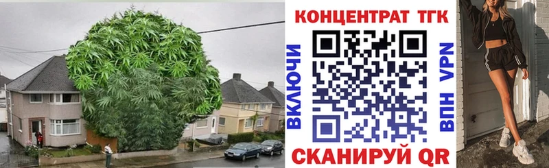мега ТОР  Крымск  ТГК THC oil 