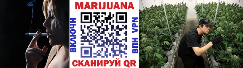 Конопля план  закладка  Крымск 